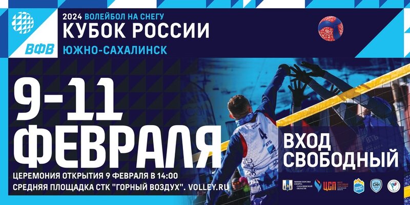 Стандарты по видам спорта волейбол