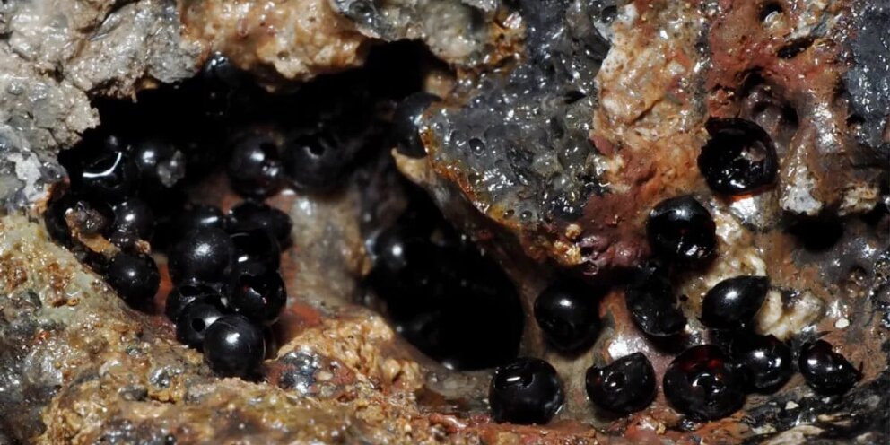 Здесь хорошо романс рахманинова слова. Стихи с песнями. Сделай похожую песню. Куплеты из песен. Здесь хорошо рахманинов слова.