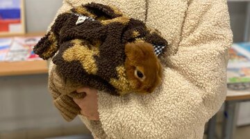 надпись в 12;00 часов. 00 0 2 12 00. 12. 00. топ 39-18, 54.