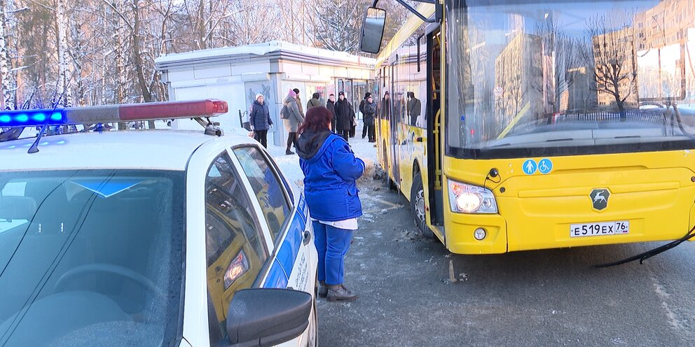 аллергены в ярославле