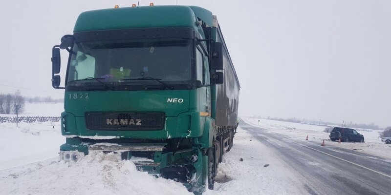 сколько километров до медвежьегорска