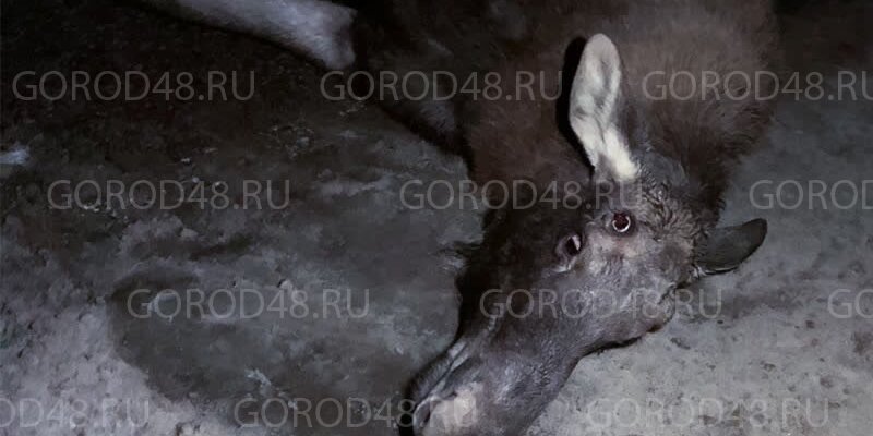 липецк дороги в городе. зима липецк дорога. дороги липецк. липецк дорога. дороги липецк.