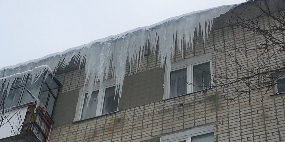 Тимур каштан батрутдинов. Тимур батрутдинов заяц. Руслан батрутдинов шахтерск. Батрутдинов управляющая компания. Тимур батрутдинов заяц.