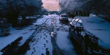 дождик в лесу. в течение лета шли дожди. ливень. дождь для презентации. в течение лета шли дожди.