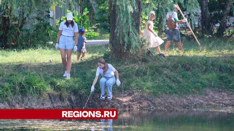Красивые причёски для девочек. Прически в школу с бантами. Фотосъемка первоклассников. Фото причесок на 1 сентября для девочек. Прическа для первоклассницы.