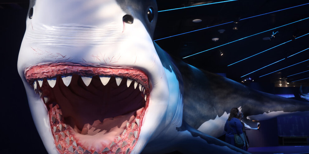 Megalodon 2023 uzbek. Megalodon 2023 uzbek. мэг монстр глубины 2018. Megalodon 2023 uzbek. Megalodon 2023 uzbek.