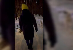 Пес веселый хочет гулять. Гулять с собакой юмор. Прогулка с собакой. Человек с собакой. Прогулка с собакой прикол.