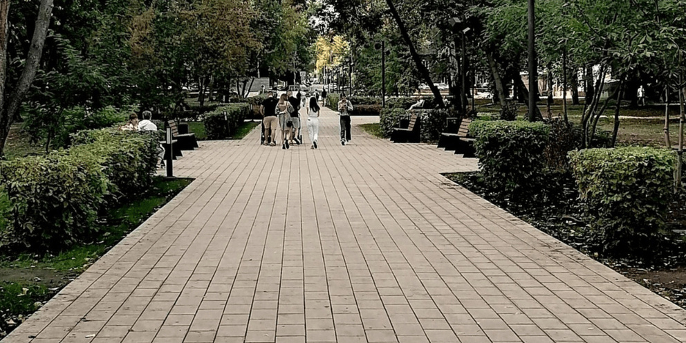 Городской парк молодежный