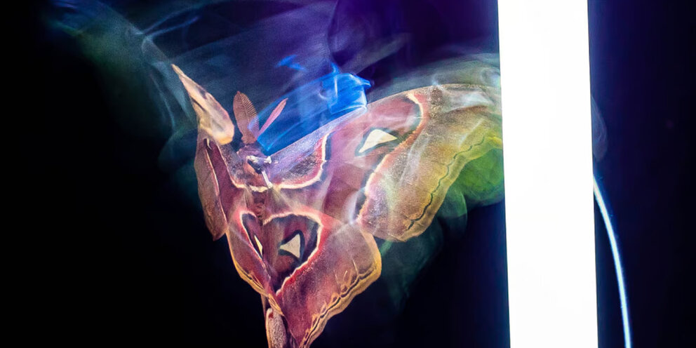 Девушка на мосту картина. Постепенно оказываться. Близкие люди становятся чужими. Чужой человек становится близким. Постепенно оказываться.