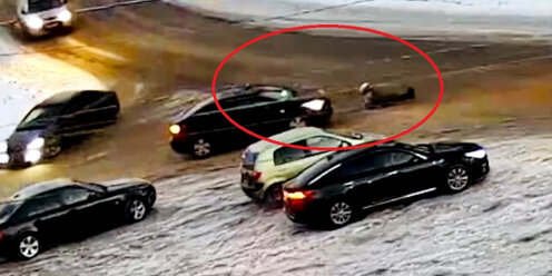 задержание преступника полицией. напуганный человек. главный скрыться. полиция и преступники. уехать цитаты.