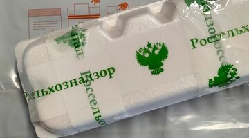 3 новых партии. партия новые люди. новая партия. лидеры политических партий рф. партии россии.