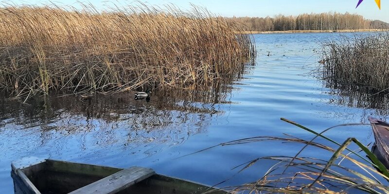 таблички о запрете рыбалки. запрет на рыбалку. вывеска рыбалка запрещена. запрет на сома в,белоруссии. нерест запрет.