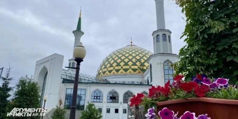 Маразм крепчает цитаты. Имамам запретили. Имамам запретили. Таджики исламисты. Имамам запретили.