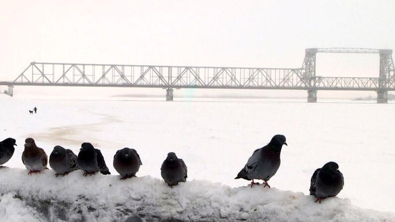 воркута климат по месяцам. погода пермь. погода на завтра в архангельске. полгода архангельск. прогноз погоды в архангельске.