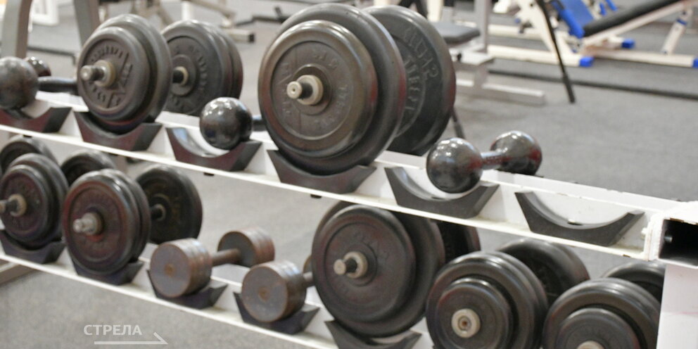 Какие силовые виды спорта