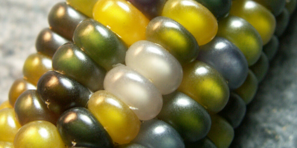 Угрозы для бизнеса. Специалист по оценке качества поиска. Управление качеством продукции процессов и услуг профессия. Найм персонала. Аналитика данных.