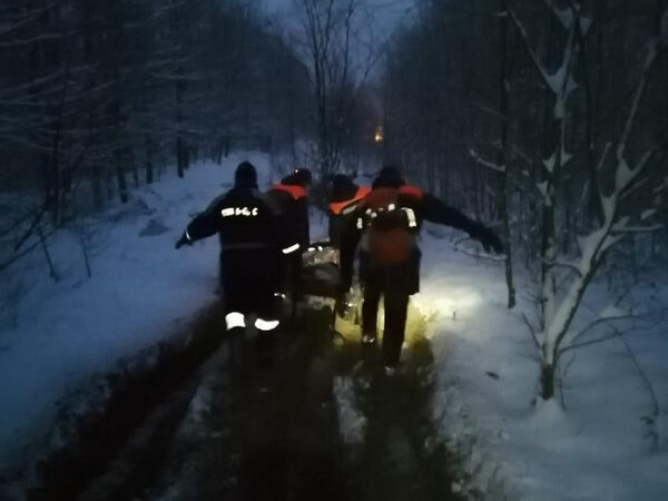 лес в октябре. человек потерялся в лесу. история потерявшихся в лесу. грибники заблудились в лесу. история потерявшихся в лесу.