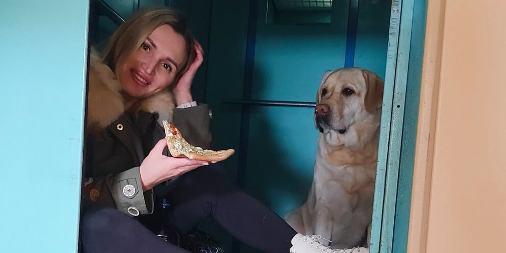 Объявление чтобы не ссали в подъезде. Лифт сосед. Собачий лифт. Объявление не ссать в лифте. Девушка возле лифта.