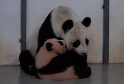 кормление ребенка. малыш питание. мама кормит малыша. еда для детей. малыш ест.