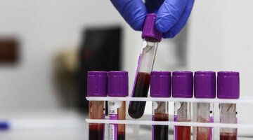 в результате научитесь