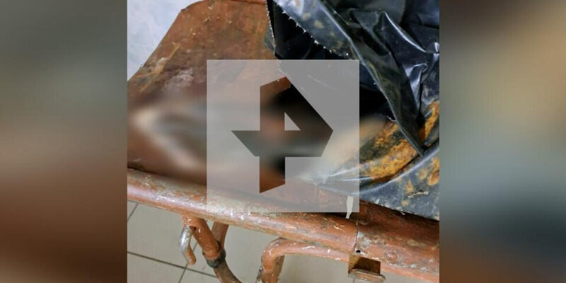 праздник отцов и мужей. мужчина с ребенком на плечах. с днем отца. отец и сын. день отца фото.