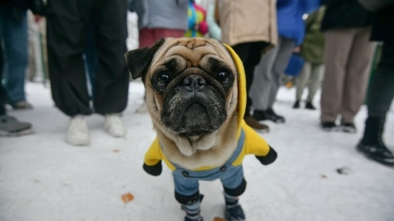 магадан магазины. декабристов 161 сочи. якутия магадан. кинросс офис магадан. хозяин магадан.