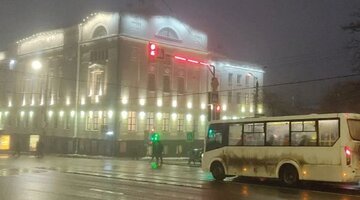 дерево гнется от ветра. сильный ветер деревья. сильный ветер деревья. шквалистый ветер. в москве ожидается гроза.