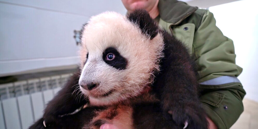 внутренние ключевые факторы успеха. новый продукт успех. факторы успеха новых товаров. успех вместе bepic. ключевые факторы успеха таблица.