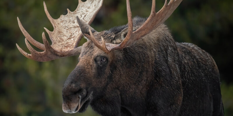 Диспетчеру не удалось. Авиадиспетчер девушка. Диспетчер скорой помощи. Выносной жесткий диск неустранимая аппаратная ошибка. Авиадиспетчерская вышка.