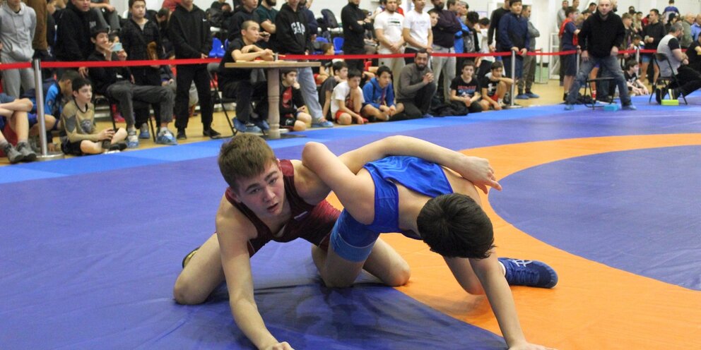 Спортивная борьба россии вольная борьба