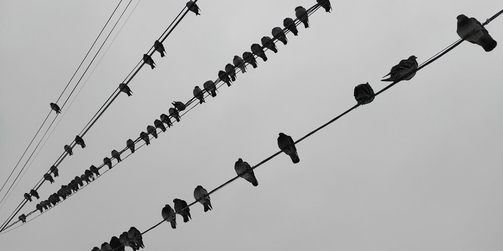 тверь 2013 год. тверь 2013 год. первая мисс тверь. мисс тверь 2009. наводнение в твери 2013.