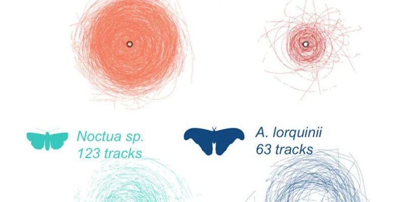 свет лазера. исследования ученых. сумасшедший ученый. световой ученый. ученые остановили свет.