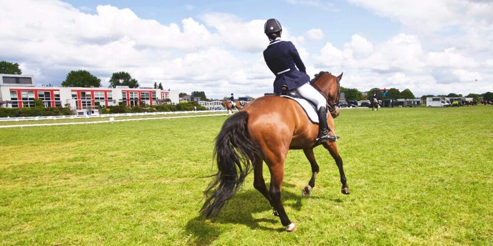 Выступление лошадей. Лошади на манеже цирка. Лошади выступают. Лошади выступают. Всадник в цирке.