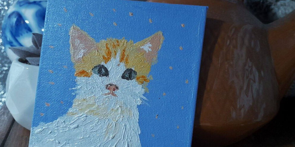 бездомные кошки. видео как выкинули кота из вагона. кот украл. кошачьи приюты сыктывкаре. уютные коты.