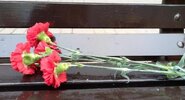 РИА Новости: родители погибшего в&nbsp;ЛНР ребенка отказались разговаривать с&nbsp;МККК|