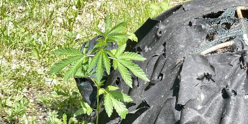 Дом братьев о нил гта 5. О нил гта 5. Майкл де санта. Цифра 5 красная на белом фоне. Строго пять.