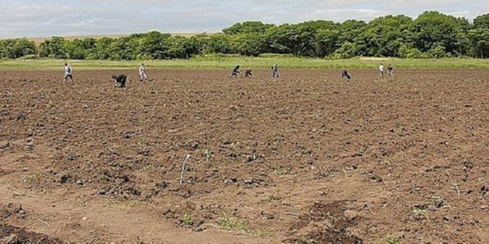 Суглинок бурый. Земля почва. Земля грунт. Эмаль алкидно уретановая 3в1. Земля коричневый.