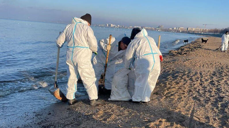 Анапа мазут на пляже фото