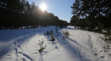 суббота приколы. открытка устала на работе. до субботы осталось. до субботы осталось. суббота картинки смешные.