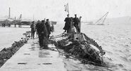 Русские дипломаты хотят вернуть подлодку &laquo;Сом&raquo; из&nbsp;Швеции через&nbsp;110 лет|