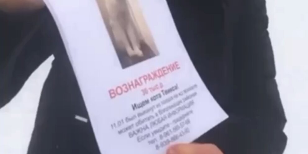 нашедшим станет не всякий ищущий. цитаты. найдут замену цитаты. каждый находит то что ищет. не ищите своего, но пользы другого.