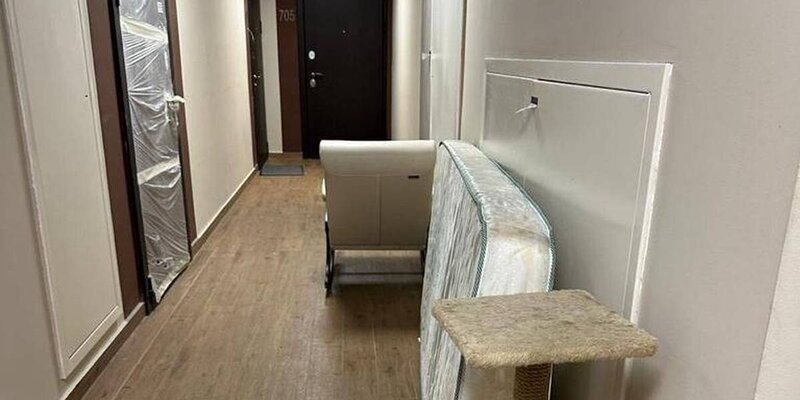 Проверить выплаты сзн 24. Проверить выплаты сзн 24. Социальные выплаты красноярского края. Проверить выплаты сзн 24. Как узнать статус заявления в соцзащите.