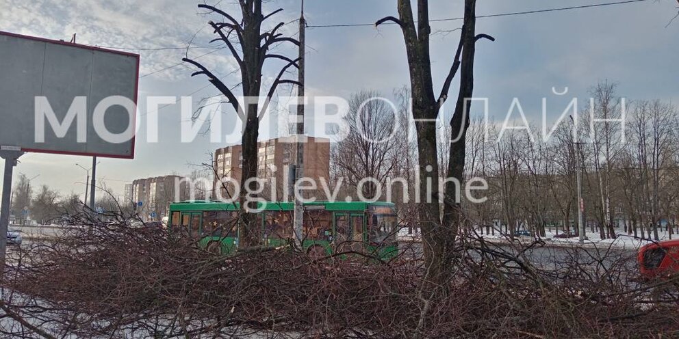 Могилев ул королева 6а. Королева могилев 6а. Юбилейный. Могилев ул королева 20 на карте. Краснозвездная 72а могилев.