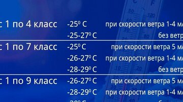 Троицк челябинская область отмена занятий 2 смена