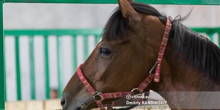 реабилитационные мероприятия. реабилитация детей инвалидов. социальная реабилитация детей инвалидов. социальная защита инвалидов. проекты реабилитация детей инвалидов.