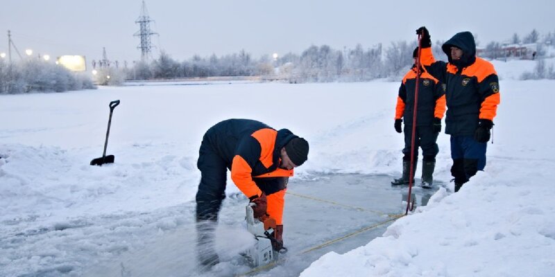 Лебединое озеро мурманск