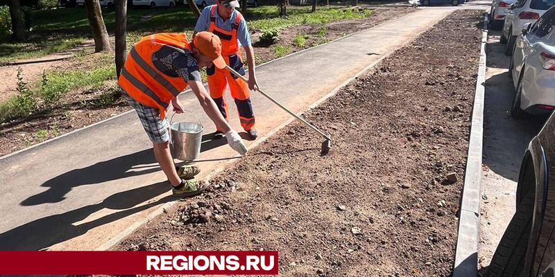 Глава тополь. Глава тополь