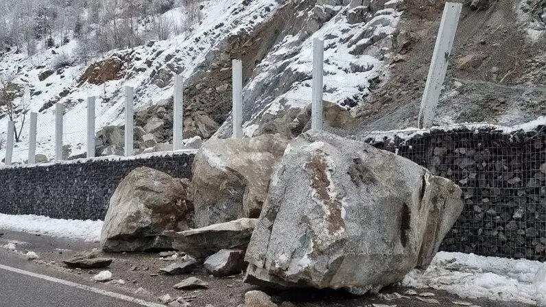 щель в заборе. любопытных событий. фотокросс животные. Eavesdropper meaning. Eavesdropper.