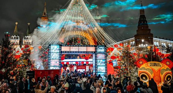 Проект зима в москве до какого числа