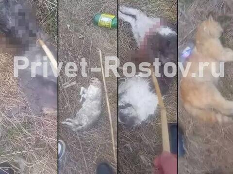 падение в краснодарском крае сегодня. крушение самолета ан-2 15. самолёт ан-2. крушение самолета ан-2 15. падение в краснодарском крае сегодня.